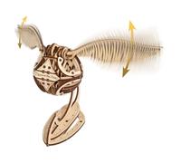 UGEARS Puzzle 3D en bois Vif d'or Harry Potter – Modèle mécanique, kit de construction original