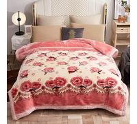 UGFJMN Couverture Pondérée De Peluche King Size, Couverture Épaisse,Soyeux Doux Et Chaud, 2 Plis Recouvert De Lit De Raschel Réversible pour l'hiver d'automne(200x230cm,4kg)