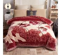 UGFJMN Couverture Pondérée De Peluche King Size, Couverture Épaisse,Soyeux Doux Et Chaud, 2 Plis Recouvert De Lit De Raschel Réversible pour l'hiver d'automne(200x230cm,4kg)