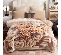 UGFJMN Couverture Pondérée De Peluche King Size, Couverture Épaisse,Soyeux Doux Et Chaud, 2 Plis Recouvert De Lit De Raschel Réversible pour l'hiver d'automne(200x230cm,4kg)