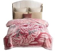 UGFJMN Couverture Pondérée De Peluche Queen Size, Couverture Épaisse,Soyeux Doux Et Chaud, 2 Plis Recouvert De Lit De Raschel Réversible pour l'hiver d'automne(180x220cm,3kg)