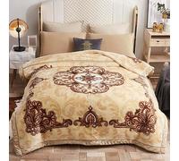 UGFJMN Raschel Couverture d'hiver en Peluche épaisse Double Couche Chaude et Moelleuse pour lit Double, canapé, Fauteuil, Couvre-lit(150x200cm 2kg)