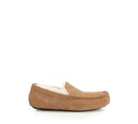UGG - Ascot Slipper - Homme - Chaussures - Brun - Taille: 40 EU