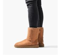 UGG Australia Court Classique (5825, Mouton Doublure, Treadlite Semelle, 8