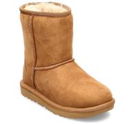 Ugg Classic Ii - 36