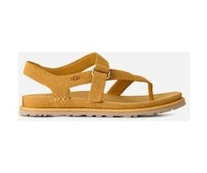 UGG Sandale GoldenGaze Toe Post in Wheat Field, Taille 38, Daim