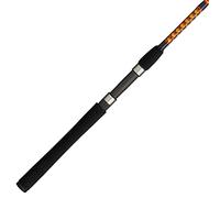 Ugly Stik Bigwater Canne à pêche rotative