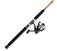 Ugly Stik Bigwater Moulinet et Canne à pêche