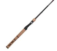 Ugly Stik Elite Canne à pêche