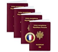 Ugozen 4 Étuis Passeport Transparents PVC Souple Cristal