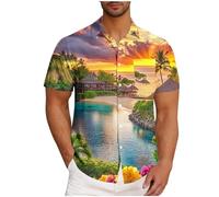 UHouse Chemise Hawaienne Homme Chemises Manches Courtes Respirant Chemisette Leger Vêtements Fin Cut Button Down Shirt Court Ete Décontracté Habit Mes Commandes Passées Bleu Ciel 4XL