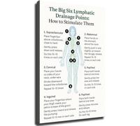UHPEAAUN The Big Six Lymphatic Drainage Points How to Stimulate Them Poster Wall-Art Stylish Room Decor for Kitchen Living Room Bedroom(Framed,12x18inch(30x45cm))