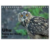 Uhu - König der Nacht (Tischkalender 2026 DIN A5 quer), CALVENDO Monatskalender: Dieser Kalender gibt einen eindrucksvollgen Einblick in die heimliche Welt der größten Eule der Welt