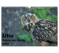 Uhu - König der Nacht (Wandkalender 2026 DIN A3 quer), CALVENDO Monatskalender: Dieser Kalender gibt einen eindrucksvollgen Einblick in die heimliche Welt der größten Eule der Welt
