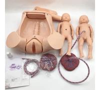 UIGJIOG Modèle d'accouchement gémellaire avec utérus séparé Formation avancée de Sage-Femme Simulateur d'accouchement Mannequin de maternité à Taille réelle Comprend des modèles d'utérus de bébé