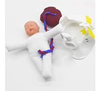 UIGJIOG Modèle de Bassin 3 pièces Mini Ensemble de modèles de poupée d'accouchement avec fœtus/Cordon ombilical/Placenta Simulateur d'accouchement Modèle de Bassin féminin bébé