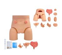 UIGJIOG Modèle de cathéter urétral Modèle de cathétérisme Mâle Femelle Interchangeable, Pratique infirmière Cathéter urinaire Mannequins Modèle de cathéter d'enseignement en PVC