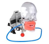 UIGJIOG Modèle de dent Simulateur Dentaire en Plastique Mannequin Tête fantôme Modèle de tête de typodont Fixé sur Chaise avec 28 Dents Amovibles pour la Formation des dentistes