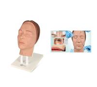 UIGJIOG Modèle de Formation au Visage de Mannequin d'injection multidirectionnelle, modèle de Formation à l'injection faciale en Silicone pour l'enseignement des microplastiques