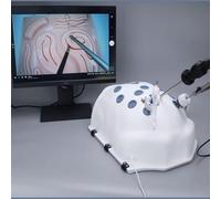 UIGJIOG Simulateur abdominal humain,Simulateur de boîte pour entraîneur laparoscopique boîte pour entraîneur laparoscopie entraînement laparoscopique 4 instruments chirurgicaux 5 modules de formation