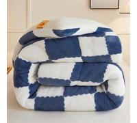 UIHECTA Couette d'hiver éPaisse Et Chaude | Couverture en Velours Double Face Ultra Chaude | Couettes LéGèRes Et Respirantes | Couette en Peluche pour Automne Et Printemps,Bleu,200 * 230cm(5kg)