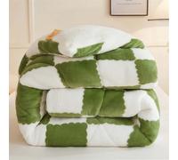 UIHECTA Couette d'hiver éPaisse Et Chaude | Couverture en Velours Double Face Ultra Chaude | Couettes LéGèRes Et Respirantes | Couette en Peluche pour Automne Et Printemps,Vert,150 * 200cm(3.5kg)