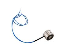 Uikdjgu 12V DC 2,5 kg 5.5LB 20x15mm Aimant de levage electrique