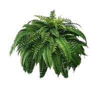 Uikdjgu Fougère de Boston Artificielle Réaliste Résistante Aux UV, Fougères Artificielles pour L'Extérieur, Fausses Fougères, Fausses Fougères, Plantes Artificielles Faciles à Utiliser