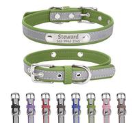 Uiopa Collier Chien Personnalisé avec Étiquette d'Identification en Acier Inoxydable Nom et Numéro de Téléphone Gravés Collier Réfléchissant pour Chien Réglable pour Petit Moyen Grande Chiens