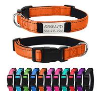 Uiopa Collier Réfléchissant pour Chien Personnalisable, Collier Chien Personnalisé avec Nom et Numéro de Téléphone pour Petit Moyen Grande, Orange