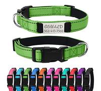 Uiopa Collier Réfléchissant pour Chien Personnalisable, Collier Chien Personnalisé avec Nom et Numéro de Téléphone pour Petit Moyen Grande, Vert Herbe