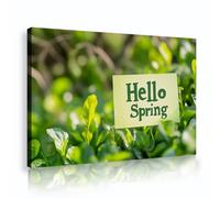 UIRINGART Bonjour feuilles de printemps Toile Art mural Photographie nature Imprimé maison Affiche murale Œuvres modernes pour salon Chambre Décoration cuisine 35x55cm