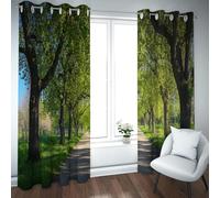 UIRINGART Obscurcissant la pièce Rideaux occultants Forêt Verte Paysage Naturel Rideaux de fenêtre isolés thermiquement pour Porte coulissante en Verre 2 Panneaux B168xH160cm