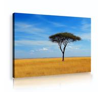 UIRINGART Paysage d’arbres africains toile murale tirages d’art naturel affiches anciennes de prairie belle fresque du ciel pour la décoration de la classe 35x55cm