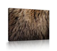 UIRINGART Texture abstraite de fourrure en toile Tirages murals Œuvres d’art modernes d’animaux Affiche de poils d’ours bruns Peinture pour bureau à domicile Décoration du salon 65x100cm