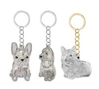 Uitndvyte Boîte porte-clés commémorative transparente pour animaux de compagnie - Boîte de rangement miniature pour les propriétaires de chiens - Design étanche - Cadeau de voyage sentimental