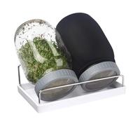 Uitndvyte Kit de germination en verre avec base ventilée et couvercle bloquant la lumière pour luzerne, haricot mungo, radis | Sprouter compact en verre d'intérieur avec couvercle