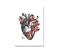 Uiujiij Peinture De Bricolage Pour Adultes Anatomie Médicale Floral Organe Coeur Peinture Par Numéro Kit Sur Toile Pour Débutants 40 * 50Cm