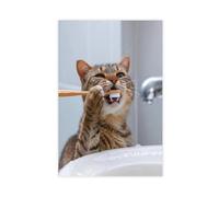 UIYTYBGAG Impression sur toile avec chat amusant qui se brosse, 60 x 90 cm