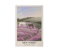 UIYTYBGAG New Forest National Park Poster sur toile Décoration de chambre à coucher 30 x 45 cm