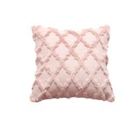 UJEDFHV Housse De Coussin 2pcs Soft Plush Short Cushion Cover Decorative Pillows Plain Pillowcases 45x45 Cm Pillow for Sofa Chair Home Decor(Leather Pink,45cm x 45cm)