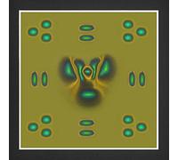 Ujjdwiurgh 1 détecteur de champ magnétique pour voir les champs magnétiques pour l'enseignement de projets scientifiques