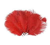 Ujjdwiurgh 10 Pcs Naturel Plumes D'Autruche Decoration Rouge 20-25Cm