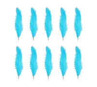 Ujjdwiurgh 10 Pcs Plumes D'Autruche Naturelles Noce Décoration Lac Bleu 20-25Cm