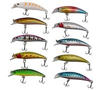 Ujjdwiurgh 10 PièCes SéRies Lot Leurre Coloration Interne Flottant Leurres de PêChe Basse Appât à Manivelle 6 Cm