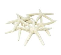 Ujjdwiurgh 12 Pcs Étoile de Mer À Doigt Blanc 5-10Cm Étoile de Mer Décorative À Cinq Doigts