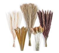 Ujjdwiurgh 120 PièCes DéCoration de Bouquet d'herbe de Pampa SéChéE, Arrangements de FêTe de Mariage Room, Bouquets de Fleurs SèChes d'automne en Vrac de Hauteur