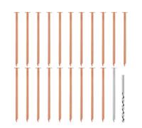 Ujjdwiurgh 20 Clous en Cuivre pour Tuer les, les Souches et les Racines - 3,5 Pouces de Long, Livrés avec 1 Clou en Acier et 1 Clou Perforateur