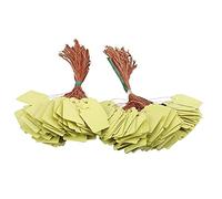 Ujjdwiurgh 200 PièCes Plante éTiquette Suspendue éTiquettes en Plastique ImperméAbles Marqueurs de Jardin RéUtilisables éTiquettes de Nom de Graines de PéPinièRe Vierges avec Cordes