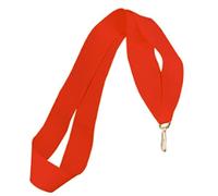 Ujjdwiurgh 30 PièCes Rubans de MéDaille Rubans de Cou de RéCompense LanièRes de MéDaille LanièRes de MéDaille avec Clips pour les CompéTitions Sportives